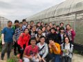 2019.05.04 - organic farm@Fung Kat Heung